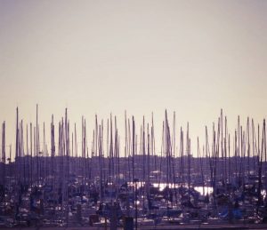 10646939_637118126386101_865191593561774508_n